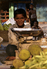 Young seller in Sikkim